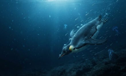 The Deep Diver: How the Emperor Penguin Survives 1,800-Foot Dives